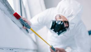 Best Residential Pest Control  in Crowley Lake, CA